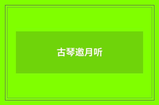 古琴邀月听