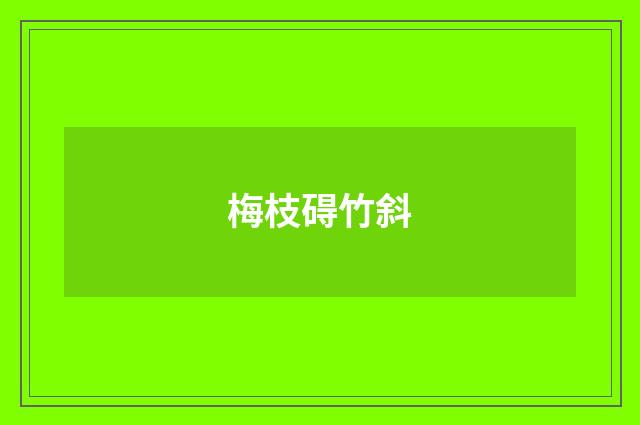 梅枝碍竹斜
