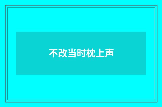 不改当时枕上声