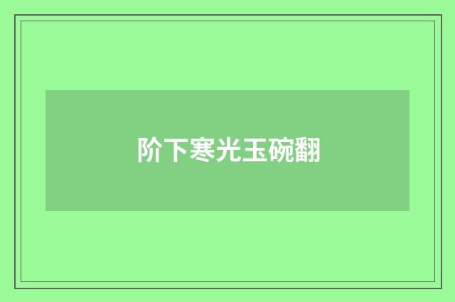 阶下寒光玉碗翻