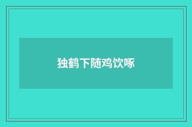 独鹤下随鸡饮啄