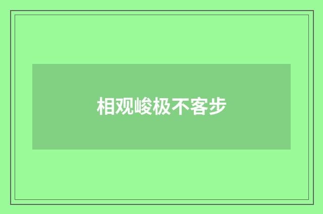 相观峻极不客步