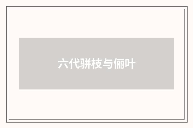六代骈枝与俪叶