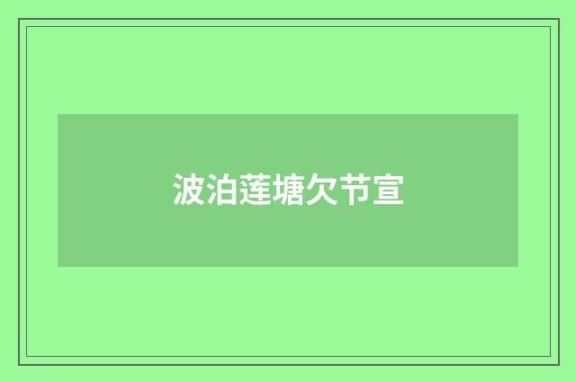 波泊莲塘欠节宣