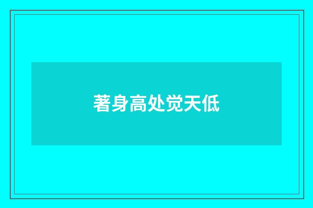 著身高处觉天低