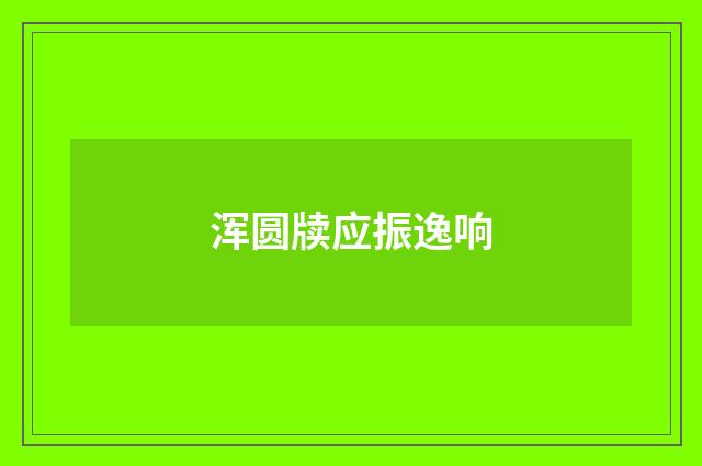 浑圆牍应振逸响