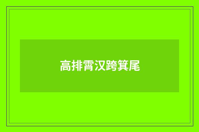 高排霄汉跨箕尾