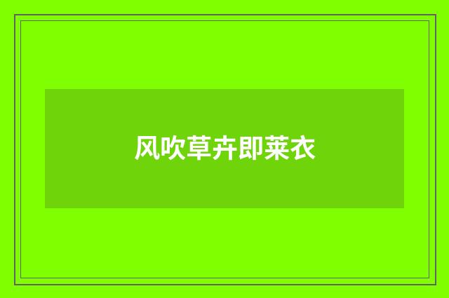风吹草卉即莱衣