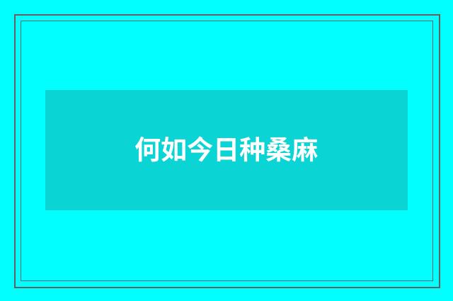 何如今日种桑麻