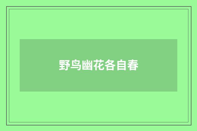 野鸟幽花各自春