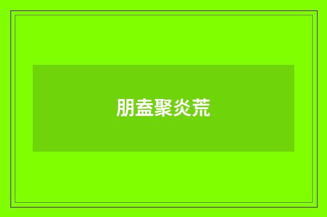 朋盍聚炎荒