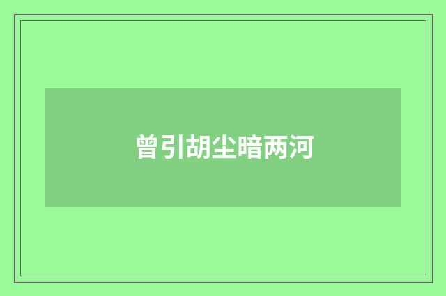 曾引胡尘暗两河