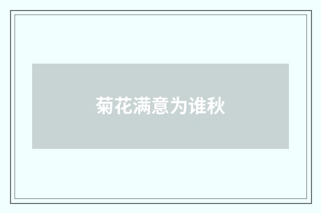 菊花满意为谁秋