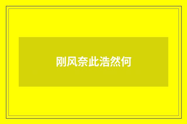 刚风奈此浩然何