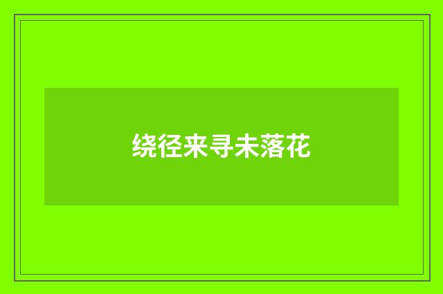 绕径来寻未落花