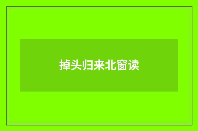 掉头归来北窗读