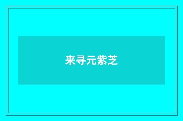 来寻元紫芝