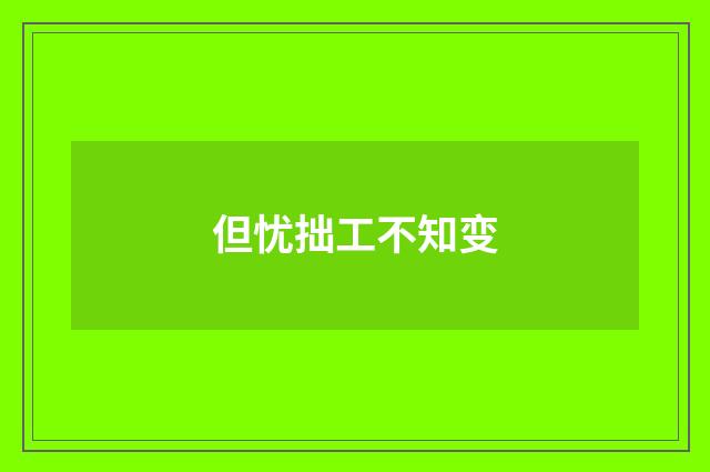但忧拙工不知变