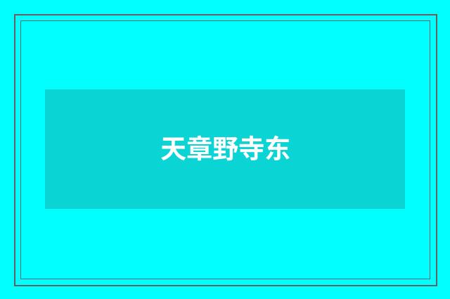 天章野寺东