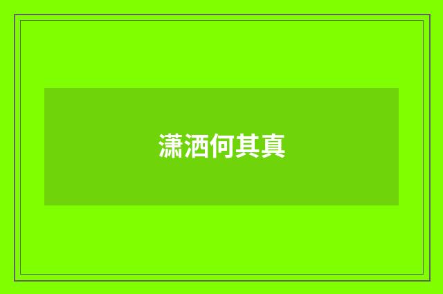 潇洒何其真