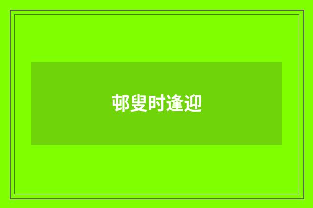 邨叟时逢迎