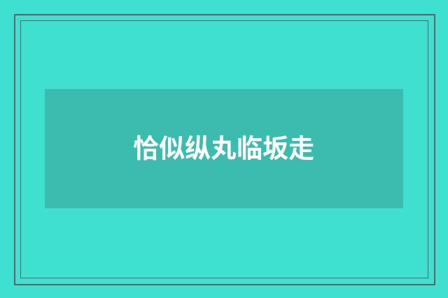 恰似纵丸临坂走