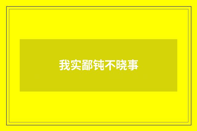 我实鄙钝不晓事