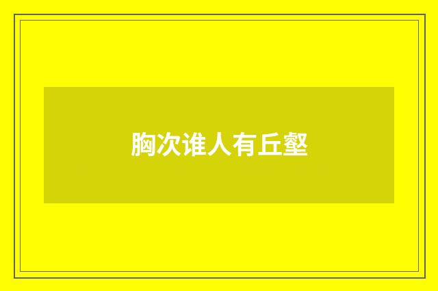 胸次谁人有丘壑