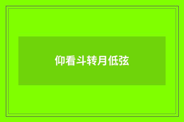 仰看斗转月低弦