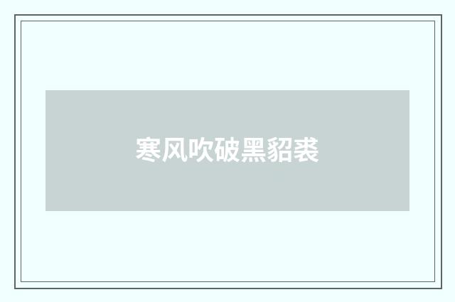 寒风吹破黑貂裘