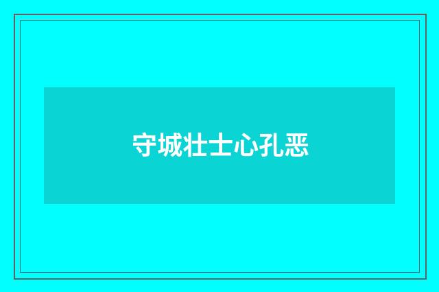 守城壮士心孔恶