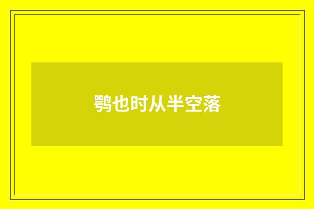 鹗也时从半空落