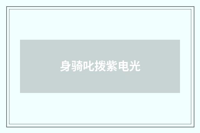 身骑叱拨紫电光