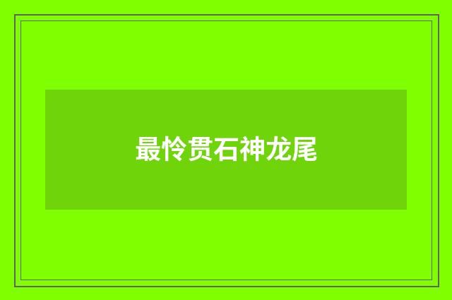 最怜贯石神龙尾