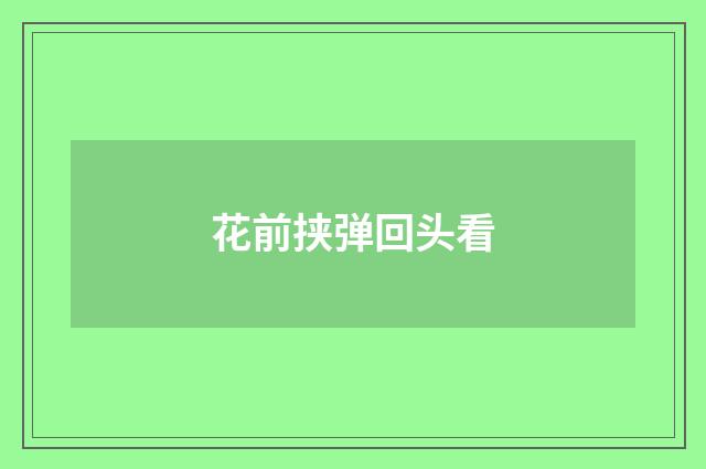 花前挟弹回头看