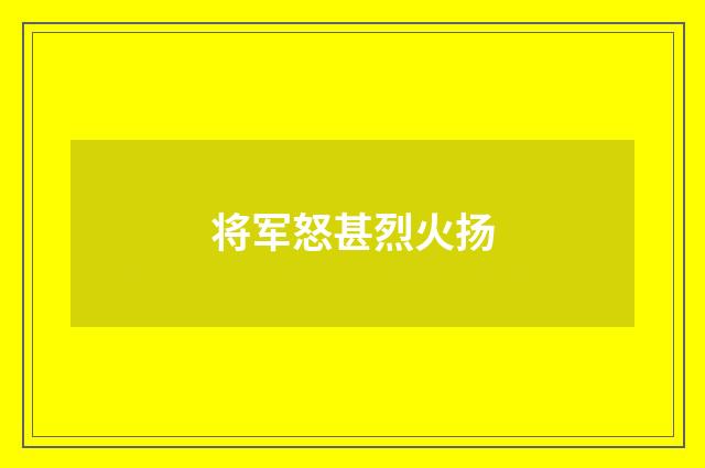 将军怒甚烈火扬