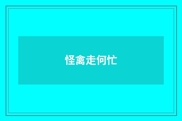 怪禽走何忙