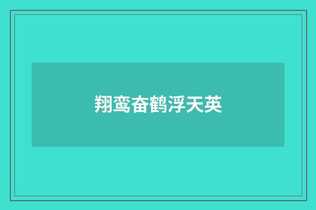 翔鸾奋鹤浮天英