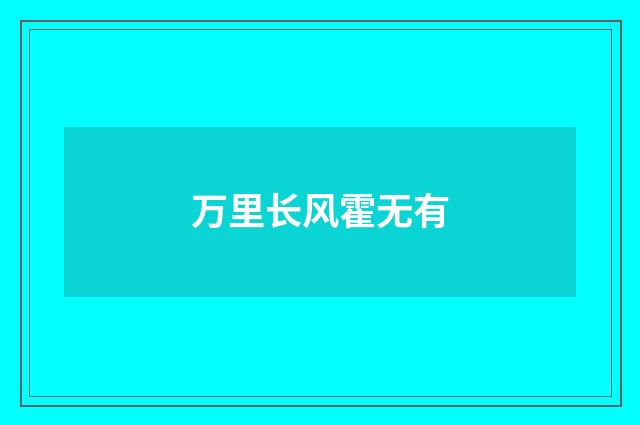 万里长风霍无有