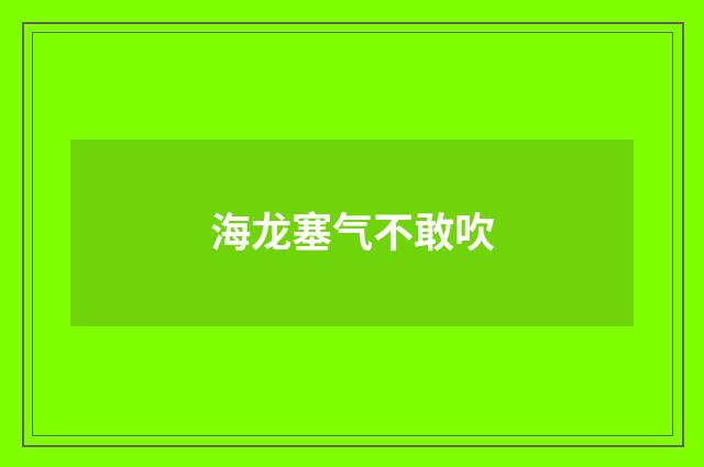 海龙塞气不敢吹