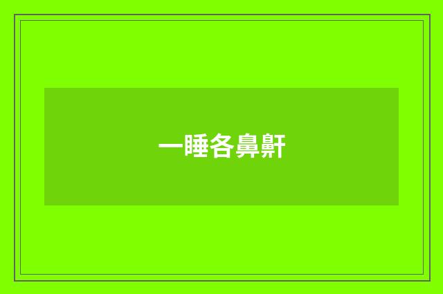 一睡各鼻鼾