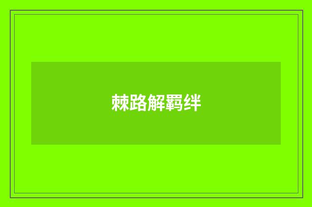 棘路解羁绊