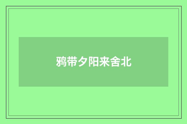 鸦带夕阳来舍北