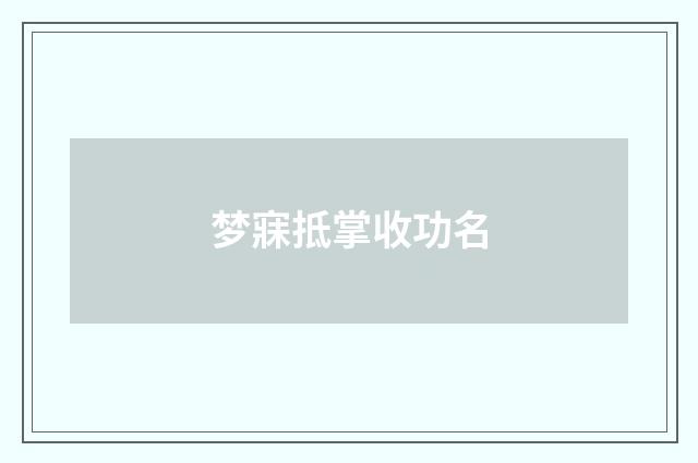 梦寐抵掌收功名