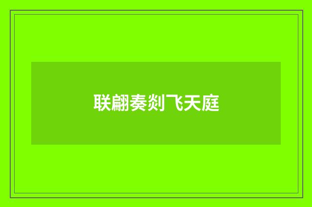联翩奏剡飞天庭