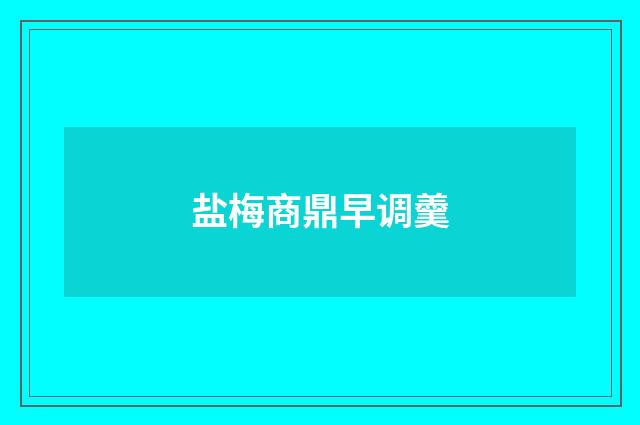 盐梅商鼎早调羹