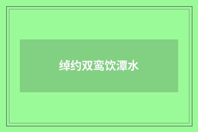 绰约双鸾饮潭水