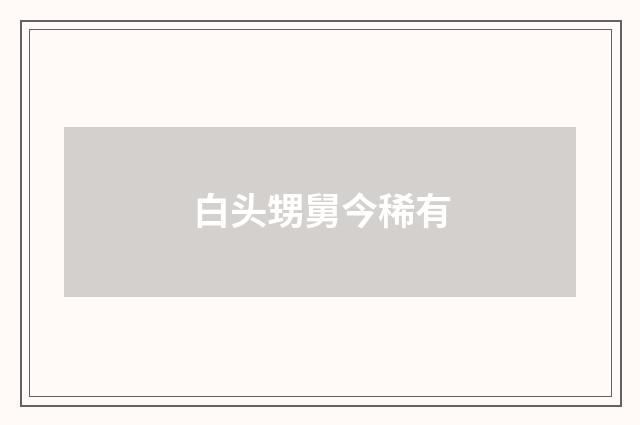 白头甥舅今稀有