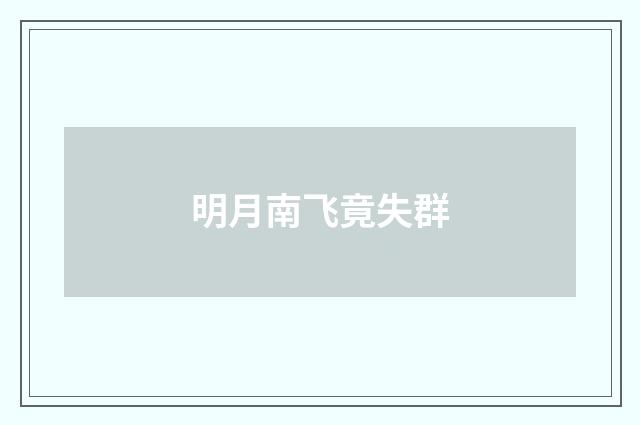 明月南飞竟失群