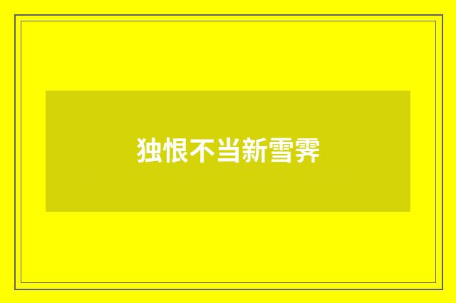 独恨不当新雪霁